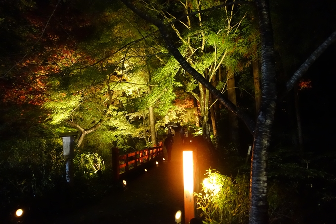 京都紅葉速報2018　その2　神蔵寺ライトアップ　No2