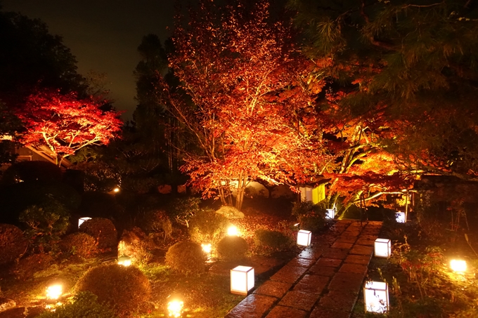 京都紅葉速報2018　その2　神蔵寺ライトアップ　No18