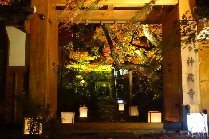 京都紅葉速報2018　その2　神蔵寺ライトアップ　No9