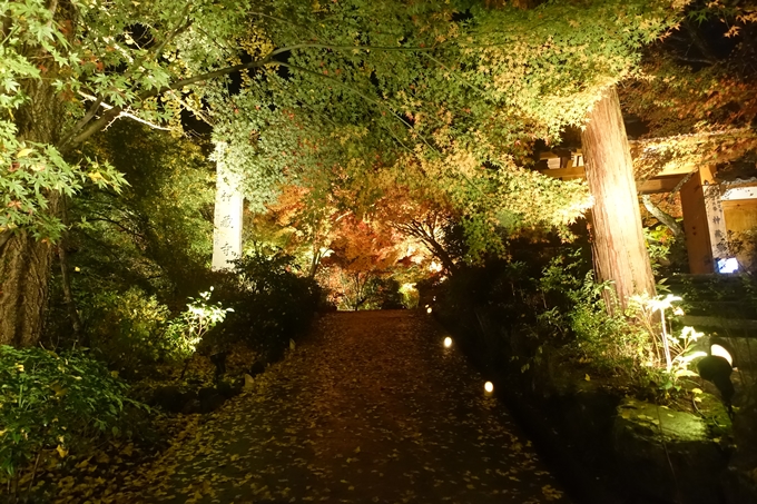 京都紅葉速報2018　その2　神蔵寺ライトアップ　No3