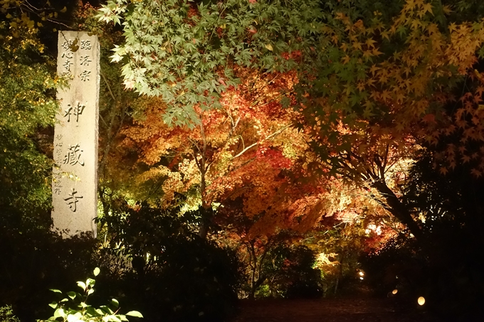 京都紅葉速報2018　その2　神蔵寺ライトアップ　No4