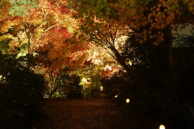 京都紅葉速報2018　その2　神蔵寺ライトアップ　No5