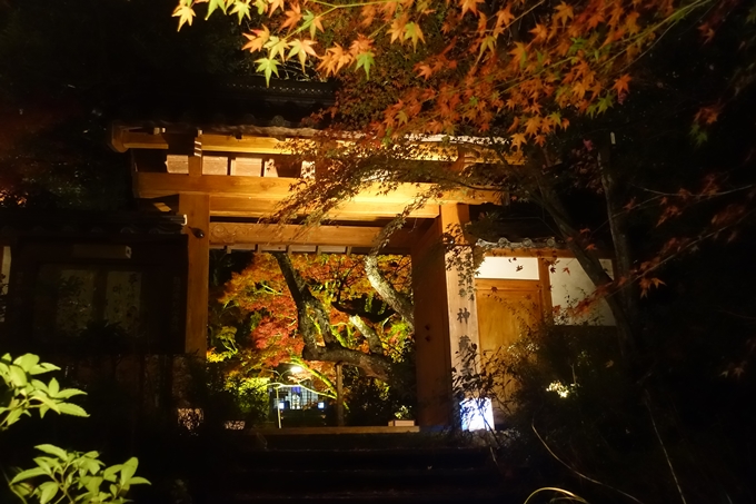 京都紅葉速報2018　その2　神蔵寺ライトアップ　No8