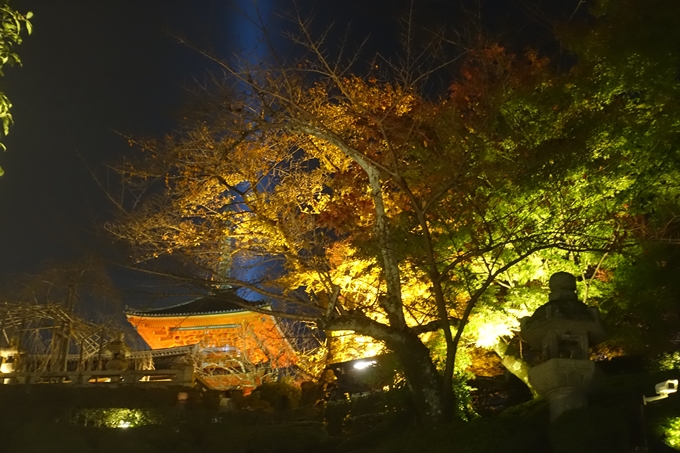 京都紅葉速報2018　その24　清水寺_ライトアップ　No3