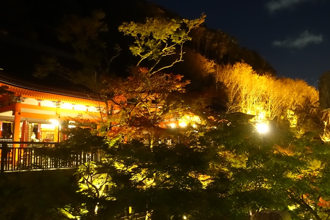 京都紅葉速報2018　その24　清水寺_ライトアップ　No31