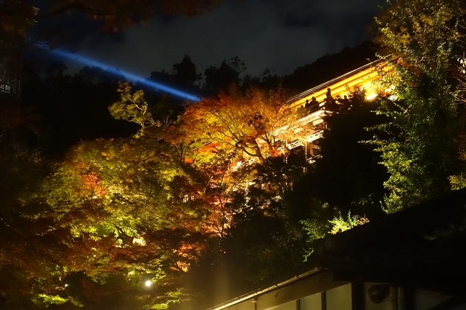 京都紅葉速報2018　その24　清水寺_ライトアップ　No36