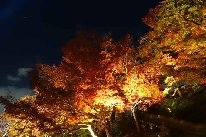 京都紅葉速報2018　その24　清水寺_ライトアップ　No42