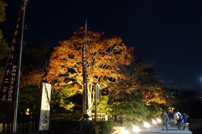 京都のライトアップ2018　大覚寺　No2