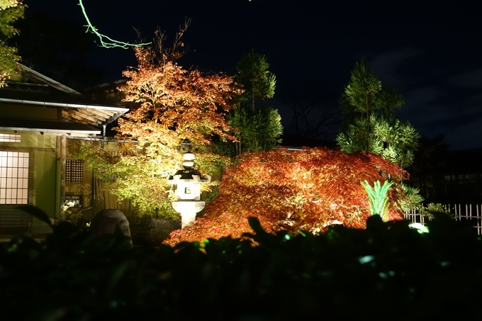 京都のライトアップ2018　大覚寺　No5
