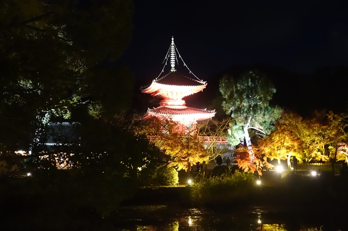 京都のライトアップ2018　大覚寺　No9