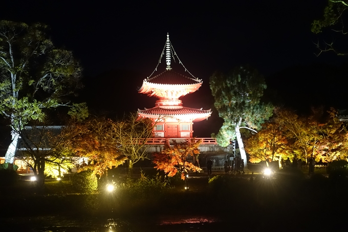 京都のライトアップ2018　大覚寺　No10