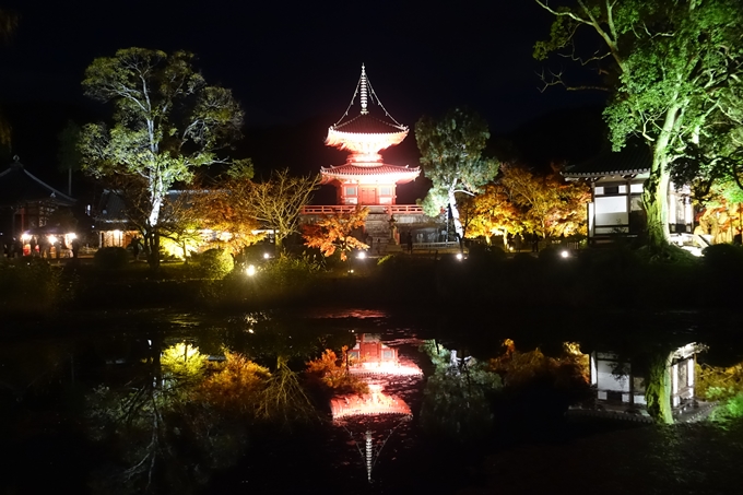 京都のライトアップ2018　大覚寺　No11