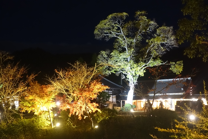 京都のライトアップ2018　大覚寺　No13