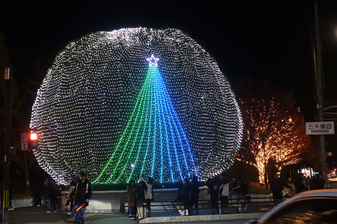 京都のライトアップ2018　ロームクリスマスイルミネーション　No3