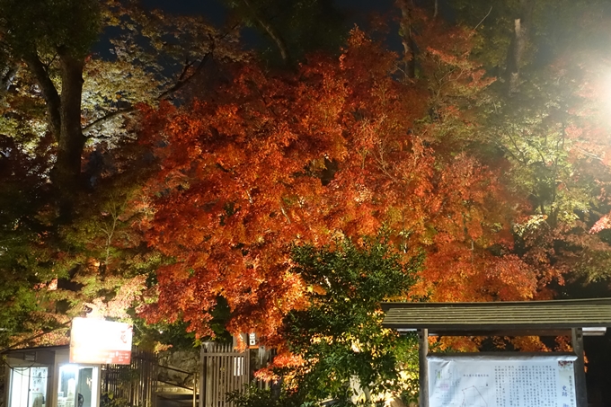 京都のライトアップ2018　北野天満宮　No9