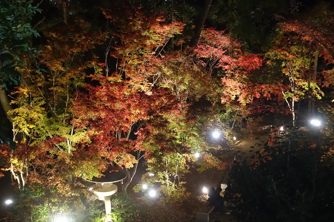 京都のライトアップ2018　北野天満宮　No18