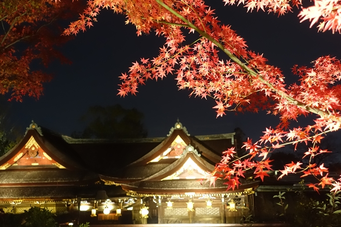 京都のライトアップ2018　北野天満宮　No36