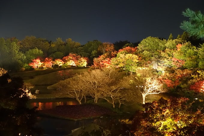 京都のライトアップ2018　梅小路公園 紅葉まつり　No6