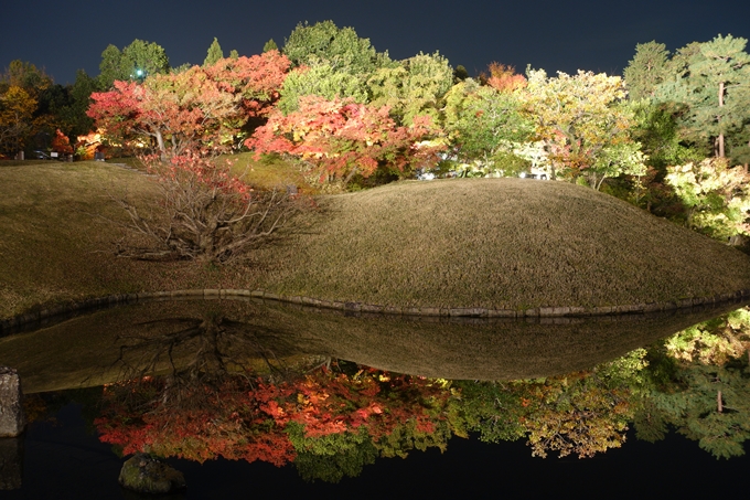 京都のライトアップ2018　梅小路公園 紅葉まつり　No12