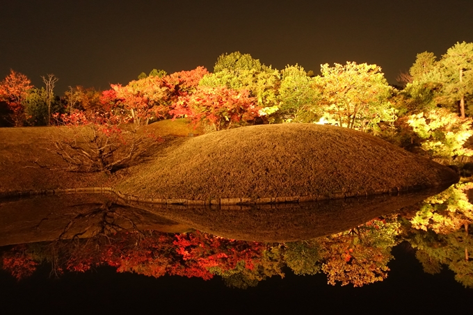 京都のライトアップ2018　梅小路公園 紅葉まつり　No14