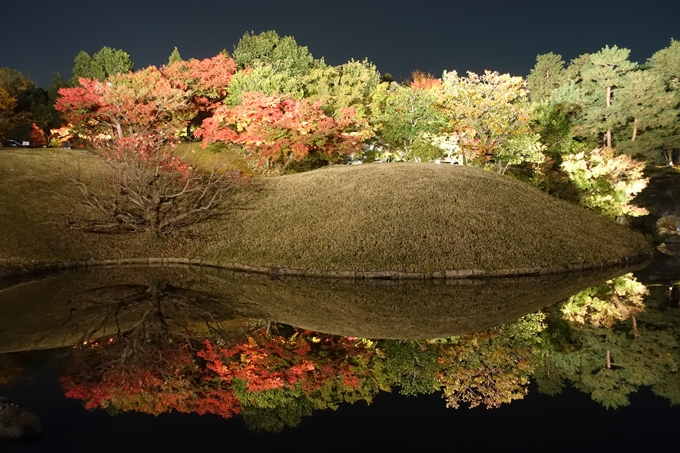 京都のライトアップ2018　梅小路公園 紅葉まつり　No15