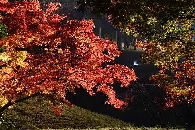 京都のライトアップ2018　梅小路公園 紅葉まつり　No19