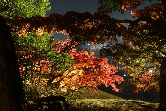 京都のライトアップ2018　梅小路公園 紅葉まつり　No20