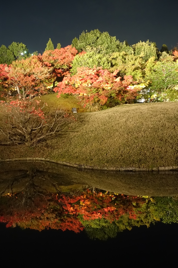 京都のライトアップ2018　梅小路公園 紅葉まつり　No22