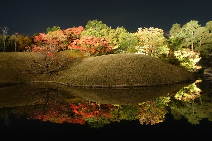 京都のライトアップ2018　梅小路公園 紅葉まつり　No23