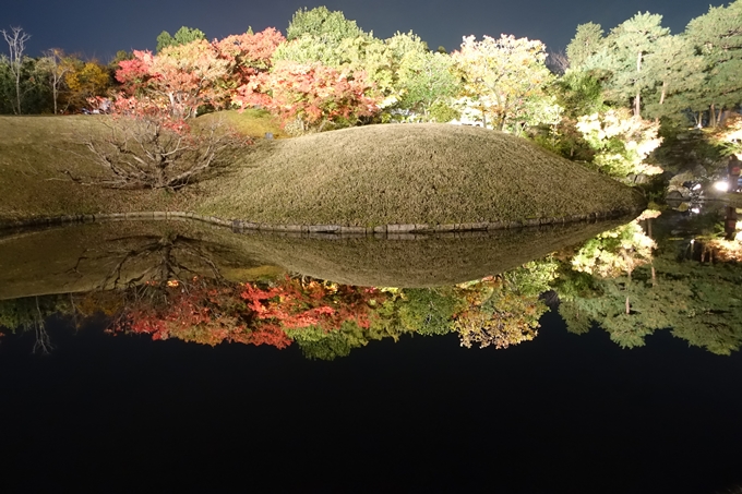 京都のライトアップ2018　梅小路公園 紅葉まつり　No24