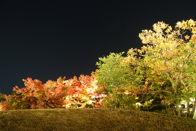 京都のライトアップ2018　梅小路公園 紅葉まつり　No26