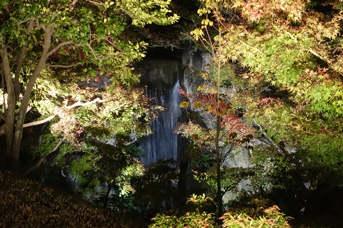 京都のライトアップ2018　梅小路公園 紅葉まつり　No27