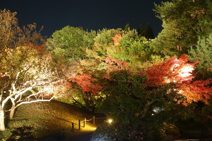 京都のライトアップ2018　梅小路公園 紅葉まつり　No31