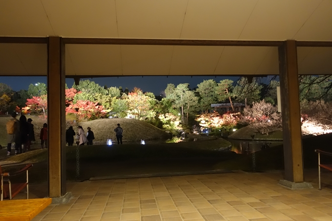 京都のライトアップ2018　梅小路公園 紅葉まつり　No36