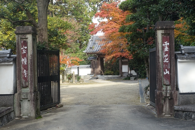 宝幢寺　紅葉　No2