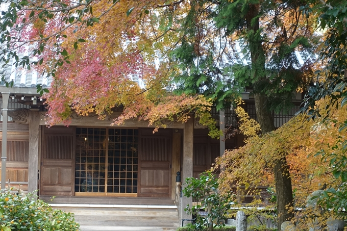 宝幢寺　紅葉　No7