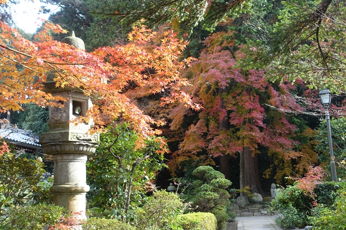 宝幢寺　紅葉　No16