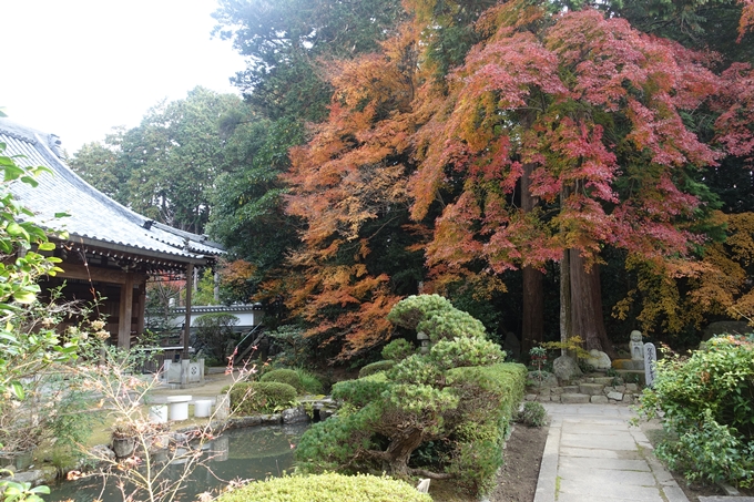 宝幢寺　紅葉　No10