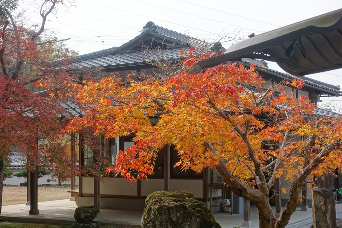 宝幢寺　紅葉　No4