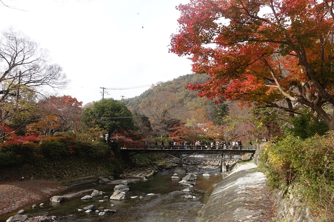 京都紅葉速報2018　その21　八瀬もみじの小径　No21