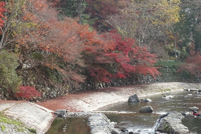 京都紅葉速報2018　その21　八瀬もみじの小径　No22