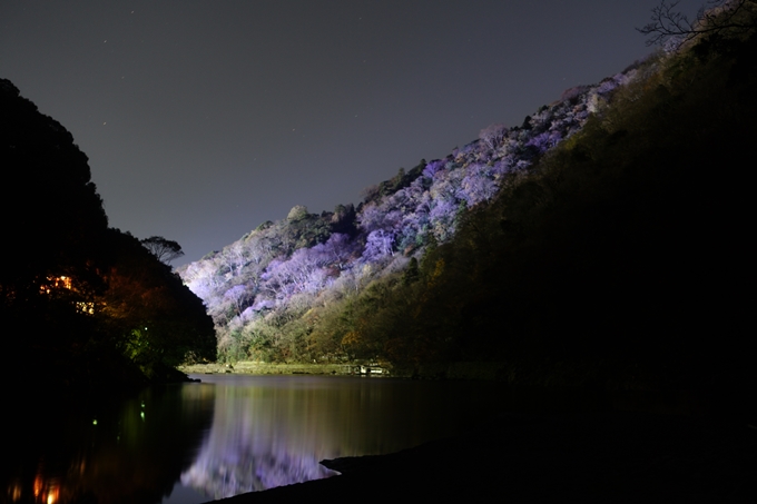 嵐山花灯路2018_01　No12