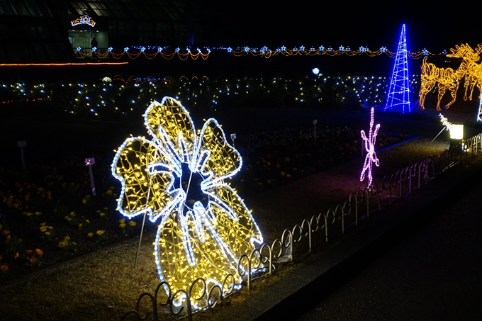 京都府立植物園イルミネーション2018　No4