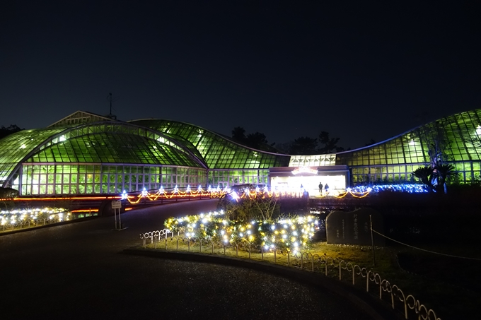 京都府立植物園イルミネーション2018　No9