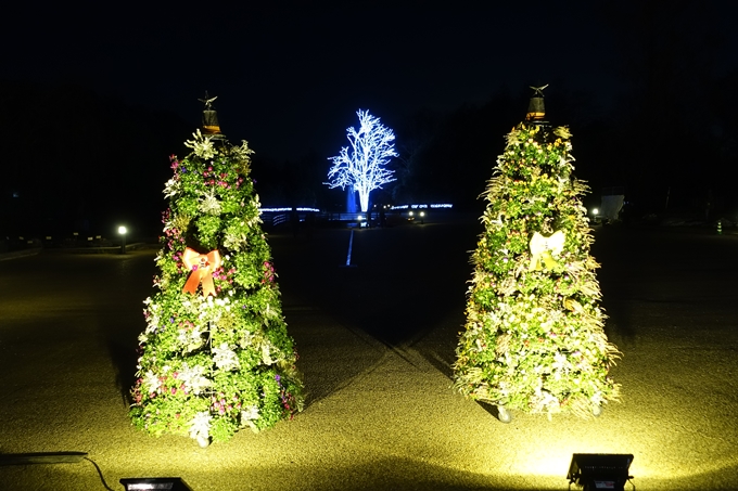 京都府立植物園イルミネーション2018　No18