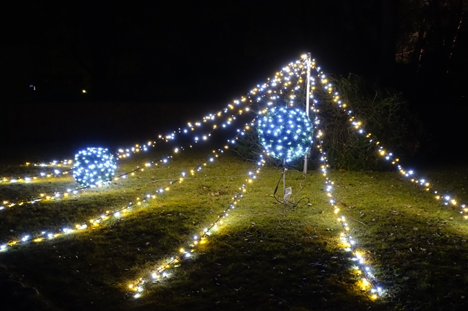 京都府立植物園イルミネーション2018　No28