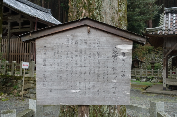 愛宕神社_亀岡市　No18