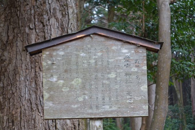 愛宕神社_亀岡市　No26