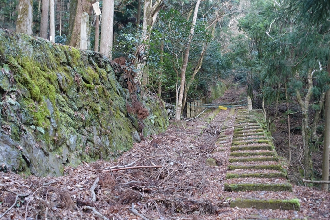 愛宕山鉄道_ケーブルカー廃線跡　No22