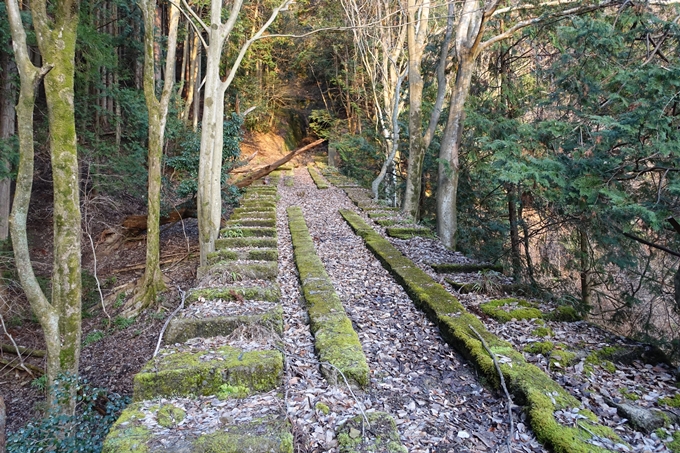 愛宕山鉄道_ケーブルカー廃線跡　No40